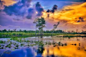 sunset_wetlands1